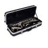 Backun Alpha ABS Bass Clarinet Case - Low C