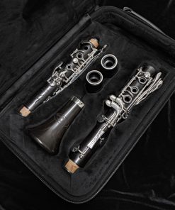 Backun Essence Clarinet - Grenadilla Wood, Silver Keys - Case Interior