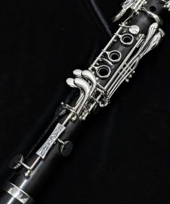 Backun Essence Clarinet - Grenadilla Wood, Silver Keys - Lower