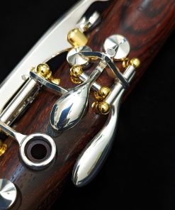 Backun Model Q Cocobolo Wood Clarinet - Silver Key, Gold Post - A Keys
