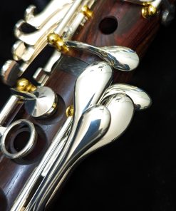 Backun Model Q Cocobolo Wood Clarinet - Silver Key, Gold Post - LH Pinky