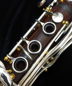 Backun Model Q Cocobolo Wood Clarinet - Silver Key, Gold Post - Right Hand
