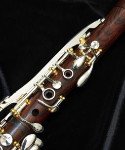 Backun Model Q Cocobolo Wood Clarinet - Silver Key, Gold Post - Upper Joint