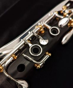 Backun Model Q Clarinet, 2nd Gen - Grenadilla with Silver Keys & Gold Posts - Left Hand Rings