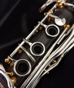Backun Model Q Clarinet, 2nd Gen - Grenadilla with Silver Keys & Gold Posts - Right Hand Rings