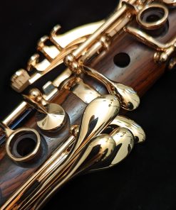 Backun Protege Clarinet - Cocobolo Wood / Rose Gold Keys - Left Hand Pinky