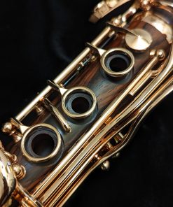 Backun Protege Clarinet - Cocobolo Wood / Rose Gold Keys - RH Rings