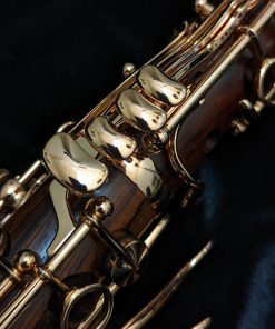 Backun Protege Clarinet - Cocobolo Wood / Rose Gold Keys - Trills