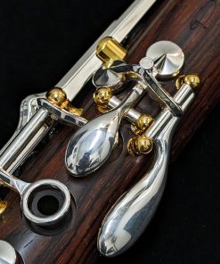 Backun Protege Clarinet - Cocobolo Wood, Silver Keys & Gold Posts with Eb Lever - A Keys