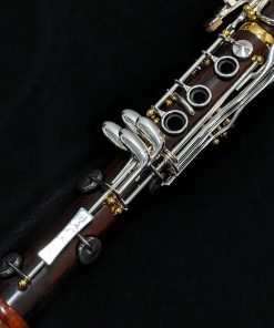 Backun Protege Clarinet - Cocobolo Wood, Silver Keys & Gold Posts with Eb Lever - Lower Joint