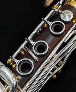 Backun Protege Clarinet - Cocobolo Wood, Silver Keys & Gold Posts with Eb Lever - Right Hand Rings