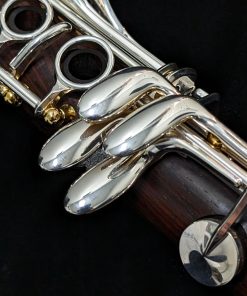 Backun Protege Clarinet - Cocobolo Wood, Silver Keys & Gold Posts with Eb Lever - Right Hand Pinky
