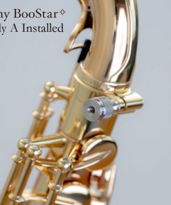 Yanagisawa BooStar Neck Screw - A Installed