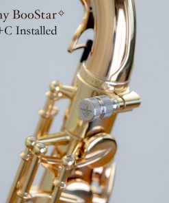 Yanagisawa BooStar Neck Screw - A+C Installed