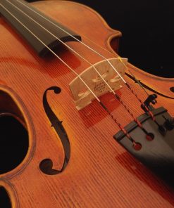 Classical Strings 950 Violin - Scarampella CS Jude