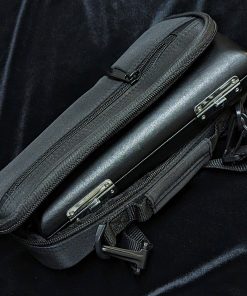 Di Zhao 201 Grenadilla Wood Piccolo - Case