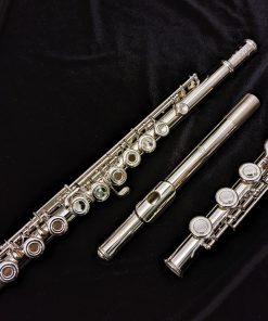 Di Zhao 701 Series Flute