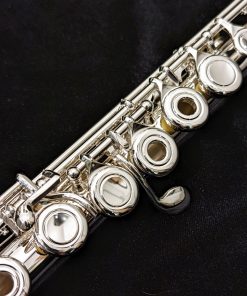 Di Zhao 701 Series Flute - Split E