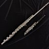 Di Zhao 701 Series Flute with Free Piccolo