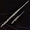 Di Zhao 801 Series Solid Silver Flute (replaces 700 Series) - Flute with Free Piccolo