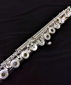 Di Zhao 801 Series Solid Silver Flute (replaces 700 Series) - Keywork