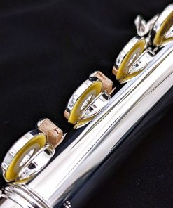 Di Zhao 801 Series Solid Silver Flute (replaces 700 Series) - Pads
