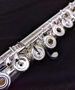Di Zhao 801 Series Solid Silver Flute (replaces 700 Series) - Split E
