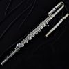 Di Zhao Alto Flute - DZA-100