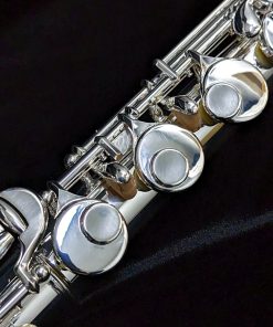 Di Zhao Alto Flute - DZA-100 - Right Hand