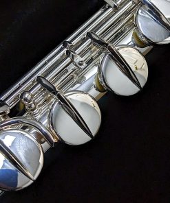 Di Zhao Alto Flute - DZA-100 - Split E