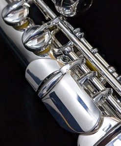 Di Zhao Alto Flute - DZA-100 - Thumb