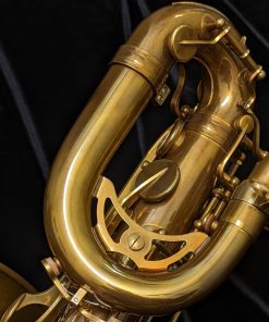 Eastman 52nd Street Bari Sax - neck Loop