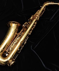 Eastman Rue Saint-Georges DS Alto Sax EAS850 - Back of Sax