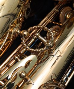 Eastman Rue Saint-Georges DS Alto Sax EAS850 - Brace