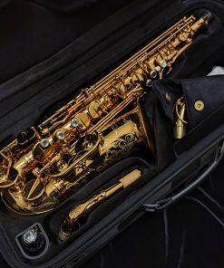 Eastman Rue Saint-Georges DS Alto Sax EAS850 - In Case