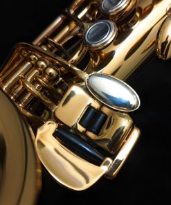 Eastman Rue Saint-Georges DS Alto Sax EAS850 - LH Pinky