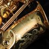 Eastman Rue Saint-Georges DS Alto Sax EAS850 - Logo