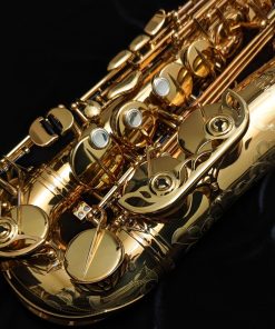 Eastman Rue Saint-Georges DS Alto Sax EAS850 - Lower