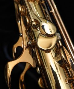 Eastman Rue Saint-Georges DS Alto Sax EAS850 - Octave
