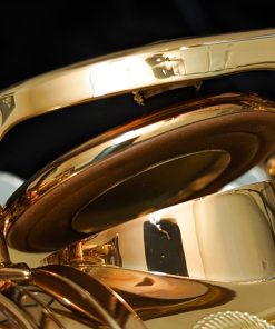 Eastman Rue Saint-Georges DS Alto Sax EAS850 - Brass Resos