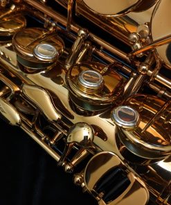 Eastman Rue Saint-Georges DS Alto Sax EAS850 - Right Hand