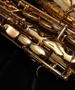 Eastman Rue Saint-Georges DS Alto Sax EAS850 - RH Palm