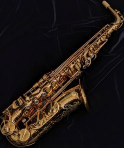 Eastman Rue Saint-Georges DS Alto Sax EAS850
