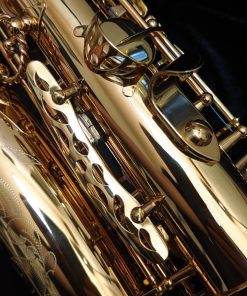 Eastman Rue Saint-Georges DS Alto Sax EAS850 - Thumb