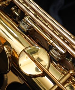 Eastman Rue Saint-Georges DS Alto Sax EAS850 - LH Mech