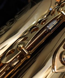 Eastman Rue Saint-Georges DS Alto Sax EAS850 - RH Mech