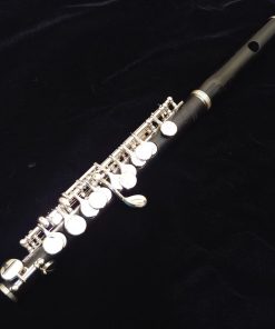 Philipp Hammig Piccolo 650/3