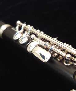 Philipp Hammig Piccolo 650/3