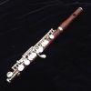 Johannes Gerhard Hammig Piccolo - 751/3 in Cocus Wood