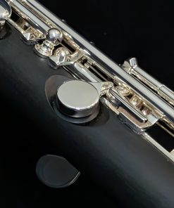 Haynes Amadeus AP46 Composite Piccolo - G#